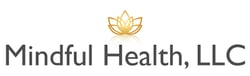 Craig Collins_Mindful Health LLC