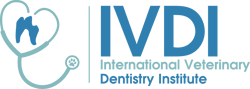 Dr Brett Beckman_IVDI