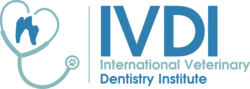 Dr Brett Beckman_IVDI