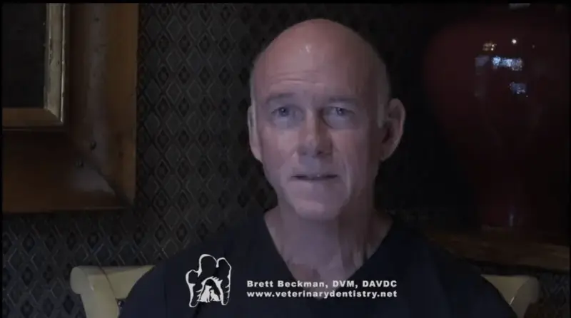 Dr. Brett Beckman